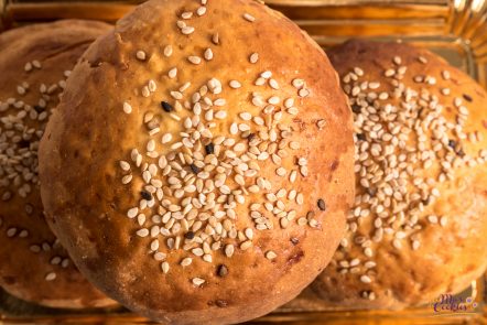 pan de hamburguesa sin gluten y sin lactosa